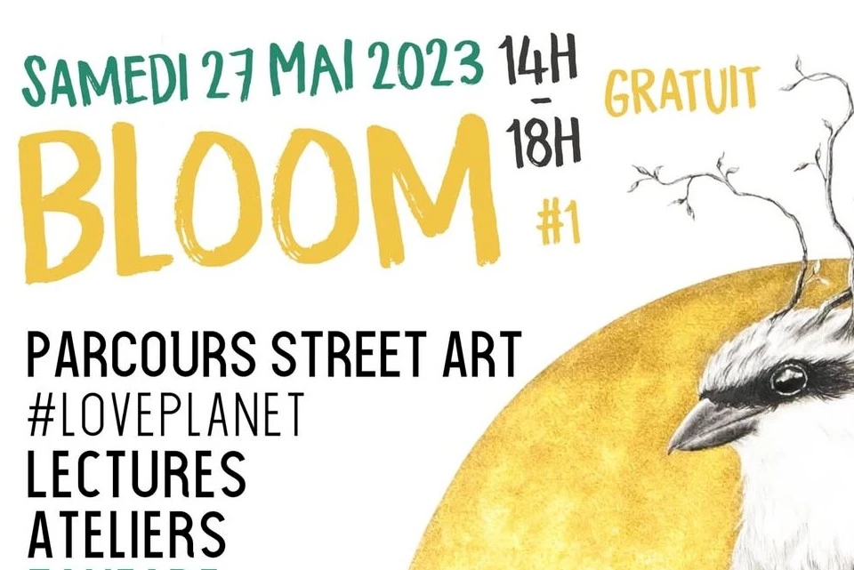 Photographie de groupe en ext&eacute;rieur